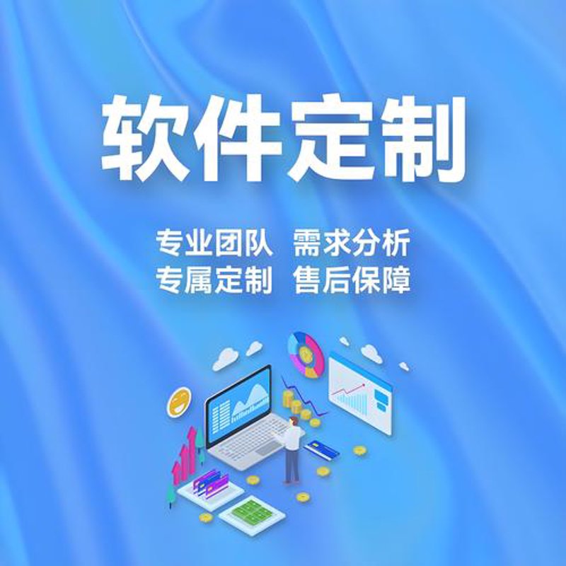 软件定制开发:企业科技跃升的新引擎
